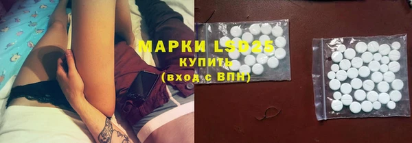 мяу мяу мука Бородино