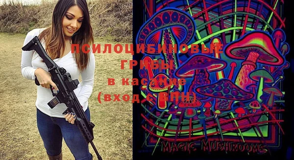 мяу мяу мука Бородино