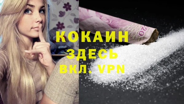 бошки Бронницы