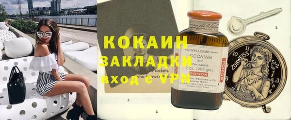 бошки Бронницы