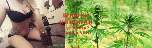 бошки Бронницы